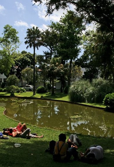 <p>Universidade dos Açores</p>